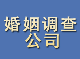 龙马潭婚姻调查公司